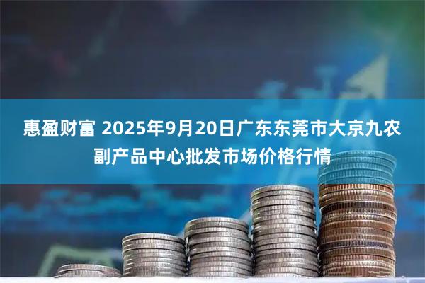 惠盈财富 2025年9月20日广东东莞市大京九农副产品中心批发市场价格行情